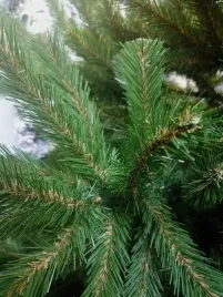 choinka-sztuczna-swierk-kaukaski-180cm-bardzo-gesty-drzewko-premium-180cm