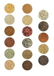 karma-dla-golebi-agro-king-bez-pszenicy-bp-super-jakosc-25kg