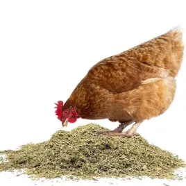 ziola-dla-kur-na-odpornosc-1kg-dla-drobiu-stop-chorobom-naturalna-odpornosc