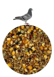 karma-dla-golebi-agro-king-sezonowa-25kg-super-jakosc-se