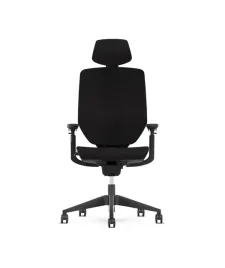 ergonomiczne-krzeslo-biurowe-flexispot-bs12-pro-czarne
