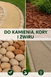 strong-hold-5l-stabilizator-spoiwo-do-kamienia-kory-i-zwiru
