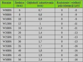 prowadnica-walek-liniowy-fi-20-mm-l500-mm-50-cm