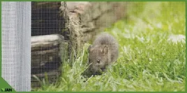 siatka-przeciw-gryzoniom-hodowlana-na-woliery-zgrzewana-ocyn-8x8x065-25m2