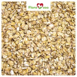 jeczmien-gnieciony-pasza-karma-drobna-ziarno-dla-drobiu-kur-kaczek-golebi