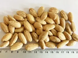 migdaly-blanszowane-1-kg-migdal