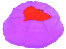 swiecaca-sciezka-sensoryczna-kamienie-do-treningu-rownowagi-6-szt-sp0828