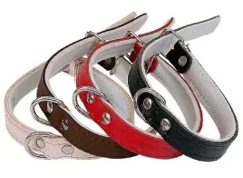 obroza-dla-psa-skorzana-zooleszcz-r-xs-s