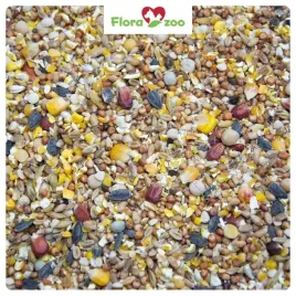 karma-ziarno-pasza-dla-golebi-ptakow-uniwersalna-caloroczna