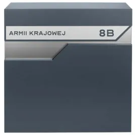 obszerna-skrzynka-pocztowa-przeznaczona-na-listy-poczte-i-gazety-z-mozliwoscia-dodania-napisu-zawierajacego-adres-ulice-i-numer