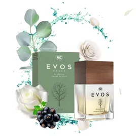 k2-zapach-evos-grace-gaia-perfumy-50ml-perfum-zapach-do-samochodu-auta