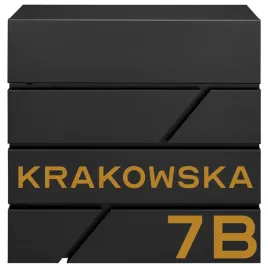 nowoczesna-czarna-skrzynka-pocztowa-modern-ze-zlotym-adresem