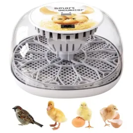 inkubator-do-jaj-automatyczny-12-jaj-wylegarka-klujnik-z-obracaniem-35-w