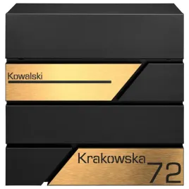 czarna-skrzynka-na-listy-i-gazety-posiadajaca-zlote-tabliczki-adresowe-oraz-mechanizm-cichego-domyku