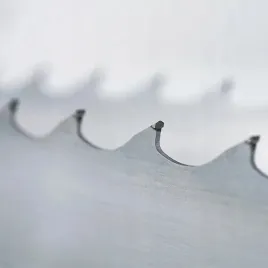 pila-tasmowa-weglikowa-do-centauro-5500x09