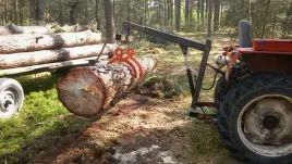 kleszcze-chwytak-szczypce-do-drewna-jumbo-hds-600