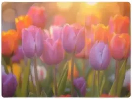 podkladka-mata-na-stol-dekoracyjna-luxe-tworzywo-445x32cm-wz-48-tulipany