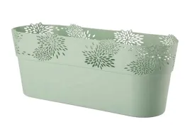 oslonka-owalna-aster-32-cm-mieta