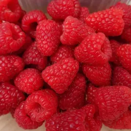 malina-baron-powtarzajaca-wysoki-plon-duze-owoce-odporna-sadzonka-1l