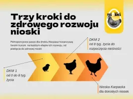 neopasz-pasza-dla-kurczat-kur-dkm2-kruszonka-25-kg