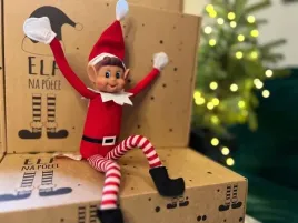 elf-na-polce-z-drucikami-chlopiec-elve-s-behavin-badly-psotnik-30-cm