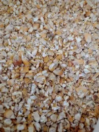 kukurydza-grubo-mielona-25kg-dla-kur-golebi-kaczek-czyste-ziarno
