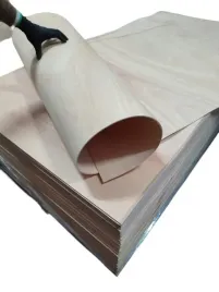 sklejka-elastyczna-2440x1220-3mm-poprzek-jachtowa