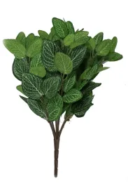 bukiet-miety-z-liscmi-cetkowanymi-h44