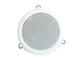 apart-audio-cm6-sf-100v-glosnik-sufitowy-scienny