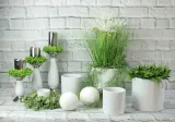 doniczka-oslonka-ceramiczna-polnix-biala-okragla-blyszczaca-walec-15-cm-ksztalt-okragly
