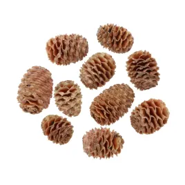 naturalne-szyszki-muirii-loose-ozdoby-swiateczne-do-wiankow-stroikow-10-szt