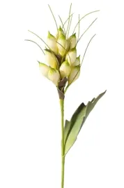 kwiat-dekoracyjny-eurofirany-natu-do-wazonu-h55