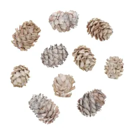 naturalne-bielone-szyszki-dekoracje-ozdoby-swiateczne-do-stroikow-10-szt