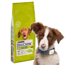 sucha-karma-dla-psa-purina-dog-chow-adult-jagniecina-14kg