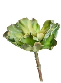 sukulent-ozdobny-roslina-sztuczna-dekoracja-h16