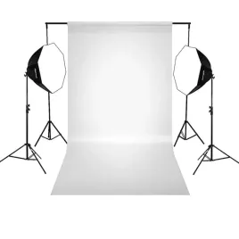 zestaw-z-tlem-baselstudio-2x-lampa-softbox-octa-60-85w-led-pilot