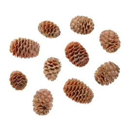 szyszki-muirii-loose-naturalne-ozdoby-swiateczne-dodatki-florystyczne-10szt