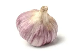 czosnek-polski-harnas-10szt-duzy-zimowy-jadalny-do-sadzenia