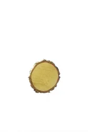 plaster-drewna-krazek-brzoza-19-23-cm