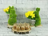 plaster-drewna-krazek-brzoza-19-23-cm-stan-nowy-kod-producenta-19-23-marka-decodomi