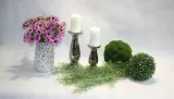 bukiet-anemon-anemony-35-cm-bialy-marka-bez-marki