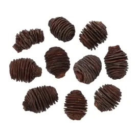 naturalne-szyszki-platyspermum-large-dekoracje-ozdoby-swiateczne-10-szt