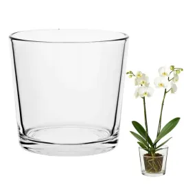 oslonka-szklana-na-storczyk-rosliny-doniczke-przezroczysta-h-16-cm