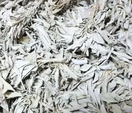 biala-szalwia-liscie-100g-gat-i