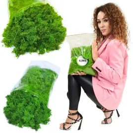 mech-chrobotek-reniferowy-finski-500g-sciolka-jasno-zielony