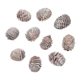 naturalne-szyszki-ozdoby-dekoracje-swiateczne-decorum-loose-10-szt