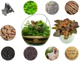 las-w-sloiku-szkle-kompletny-10-elementow-z-roslinka-i-kula-sloj