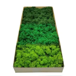 mech-chrobotek-dekoracyjny-3-kolory