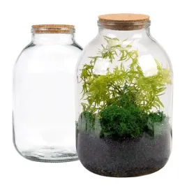 sloj-sloik-szklany-z-korkiem-las-w-szkle-sloiku-3l