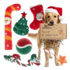 zabawki-dla-psa-zestaw-6-sztuk-pilka-maskotka-przysmaki-zabawka-swiateczna